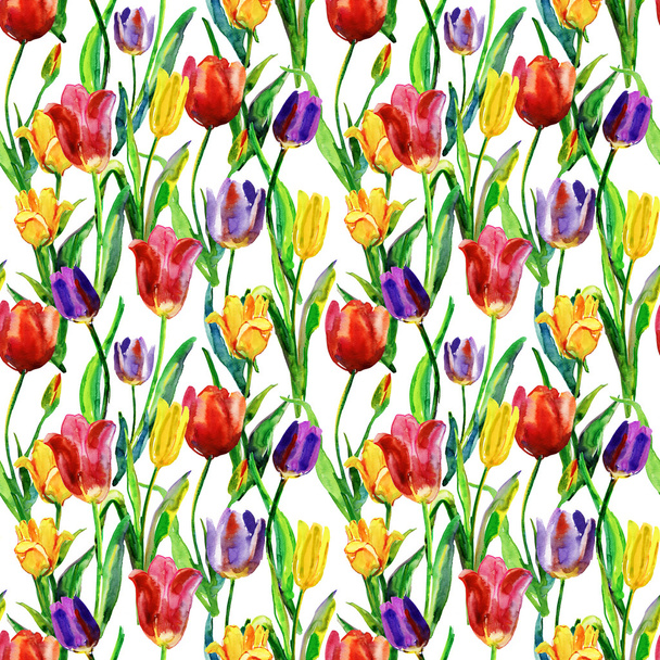 Original Tulips flowers - Photo, Image