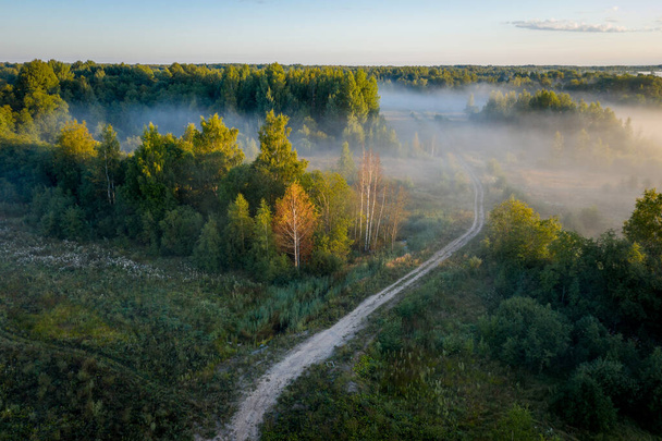 早朝の風景。霧の森だ。日の出には濃い霧の中で森を横断歩道。上からの眺め - 写真・画像