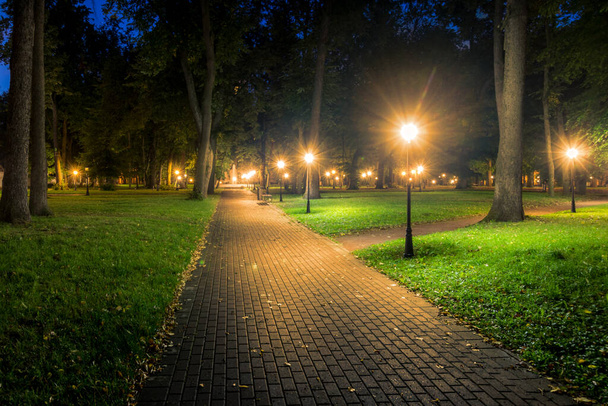Un parc nocturne éclairé par des lanternes avec un trottoir en pierre, des arbres, des feuilles tombées et des bancs au début de l'automne. Paysage urbain. - Photo, image