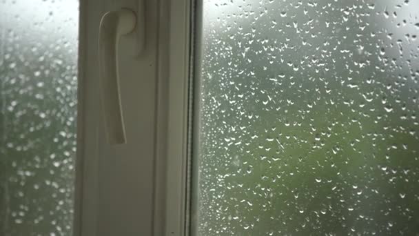 Sataa ikkunan läpi. Sadepisarat valuvat ikkunoiden pinnalle. Ei kukaan - Materiaali, video