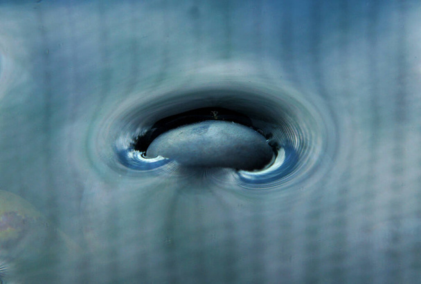 Demonstração experimental de tensão superficial com ameixas em um recipiente de água. Imagem com foco local e profundidade de campo rasa - Foto, Imagem