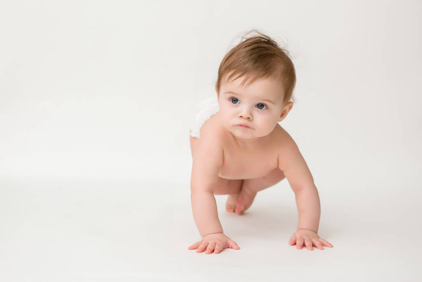 Bebé saludable de 6 meses de edad en pañales sobre un fondo blanco. Copie la imagen del espacio con la colocación para su texto o anuncio - Foto, Imagen