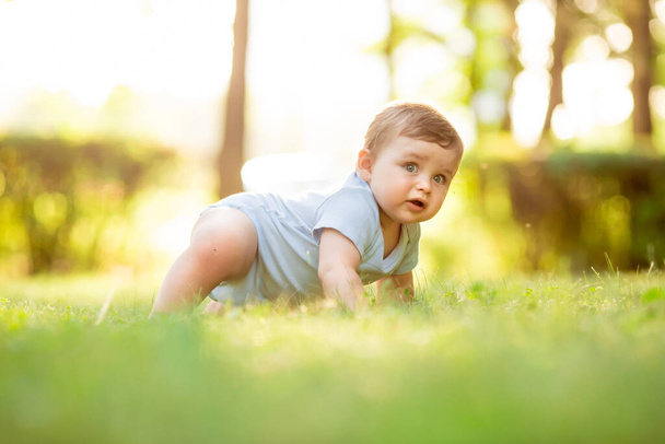 Lindo niño en traje blanco aprende a gatear. Un niño sano se arrastra sobre hierba verde en verano  - Foto, Imagen