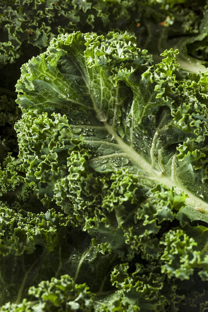 Healthy Raw Green Kale - Zdjęcie, obraz