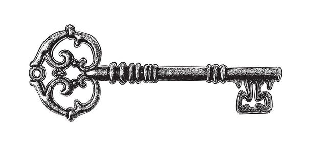 Hand drawn antique key. Sketch style of vintage key on white background. Old design illustration. Vector. - Photo, Image