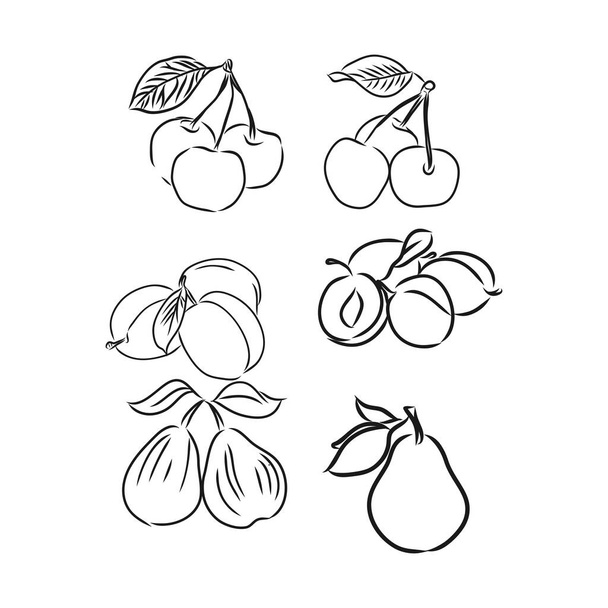 Ensemble de dessins de gribouillis de fruits vecteur, croquis vectoriel de fruits - Vecteur, image