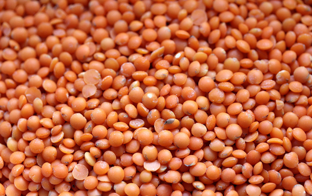 Red lentil - Foto, Imagen