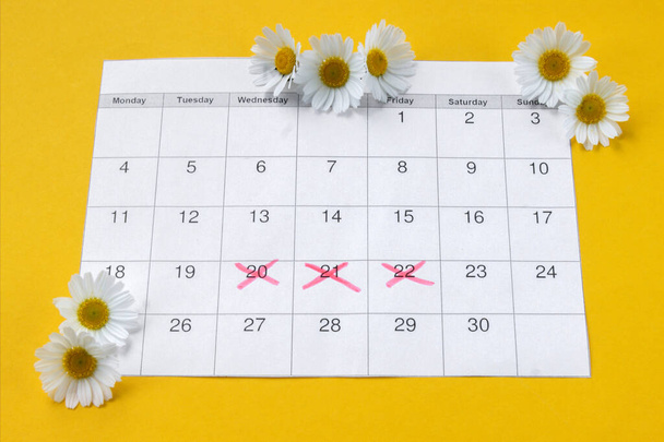 Kamomilla kuukautisten aikana kalenteri keltaisella taustalla. Käsite naisten terveys, henkilökohtainen hygienia kriittisinä päivinä. - Valokuva, kuva
