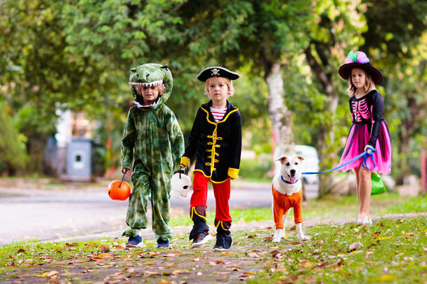 Lapset karkki tai kepponen Halloween puku. Lapset värikäs pukeutua karkkia ämpäri esikaupunkialueella kadulla. Pieni poika ja tyttö temppu tai kurpitsalyhty. Syksyn loma hauskaa. - Valokuva, kuva