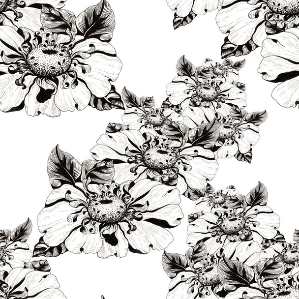 Kamille bloemen op een wittere achtergrond. Naadloze achtergrond. Collage van bloemen en bladeren. Gebruik gedrukte materialen, borden, objecten, websites, kaarten. - Foto, afbeelding
