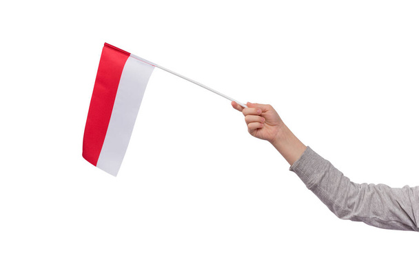 Mano tenendo bandiera della Polonia isolata su sfondo bianco. Bandiera rossa e bianca. - Foto, immagini
