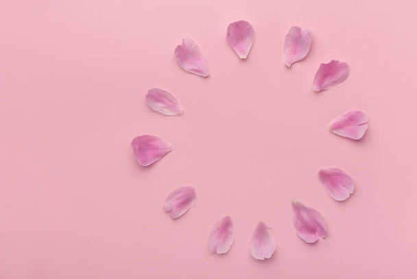 Petal dial. Delicate pink petals on pink background. Flower frame. Copy space. - Foto, afbeelding