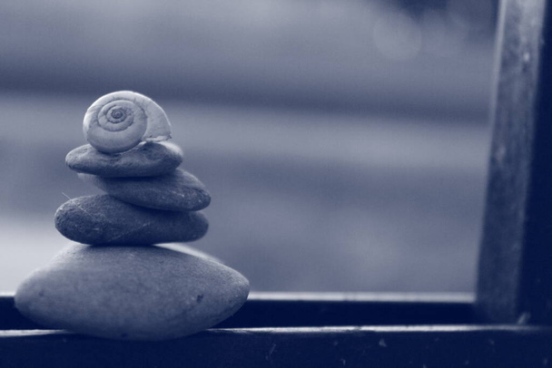 Shell on top of pebbles - Photo, Image