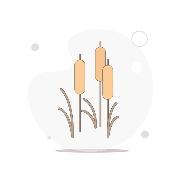reed vector flat illustration on white - Vector, Image
