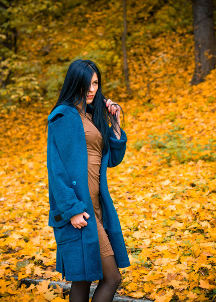 Ritratto di giovane bella donna in cappotto oversize blu autunno. Bruna donna di moda camminare all'aperto contro un paesaggio natura autunno Foto di alta moda di donna elegante elegante   - Foto, immagini