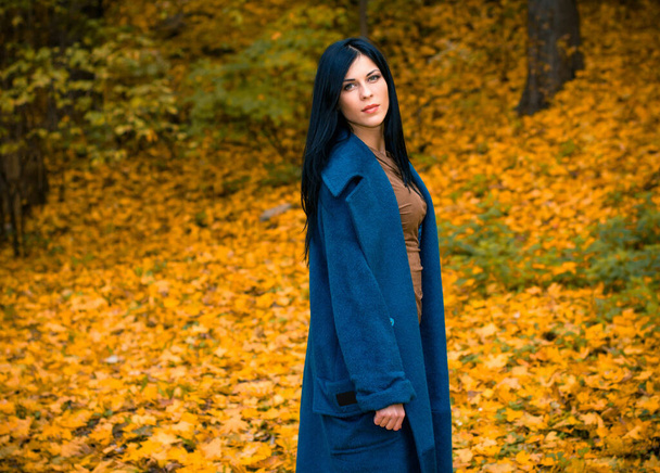 Sonbahar mavisi büyük montlu güzel bir kadının portresi. Esmer moda kadını, sonbahar manzarasına karşı yürüyordu. Zarif bir kadının moda fotoğrafıydı.   - Fotoğraf, Görsel