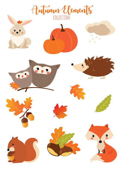 collection cute elements of autumn - Photo, Image