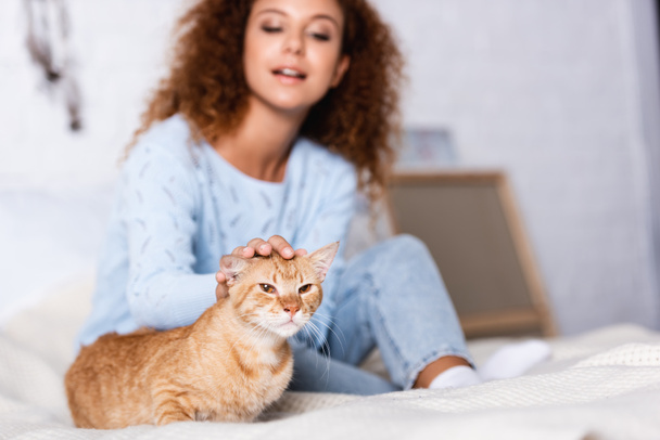 Selective focus of woman stroking ginger cat on bed  - Foto, Bild