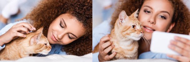Collage of curly woman petting and taking selfie with cat at home  - Photo, Image