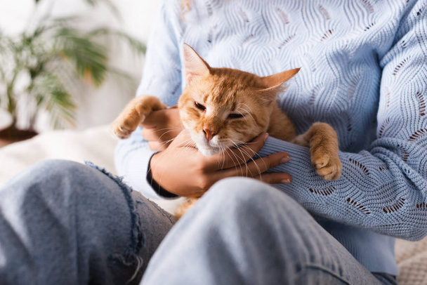 Cropped view of woman in sweater and jeans holding tabby cat  - Fotografie, Obrázek