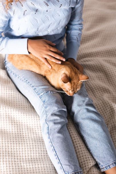 Wysoki kąt widok kobiety głaskanie imbir kot na łóżku  - Zdjęcie, obraz