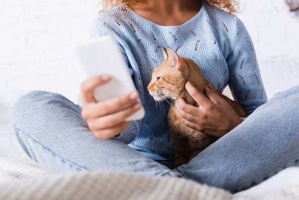 Selective focus of woman using smartphone and petting cat on bed  - Photo, Image
