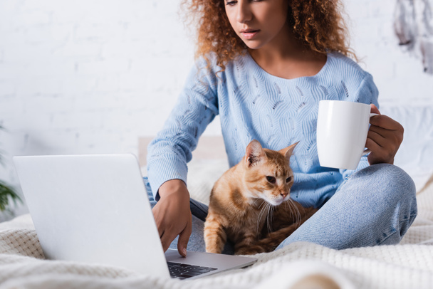 Selective focus of curly woman with cup using laptop near tabby cat in bedroom  - Foto, imagen