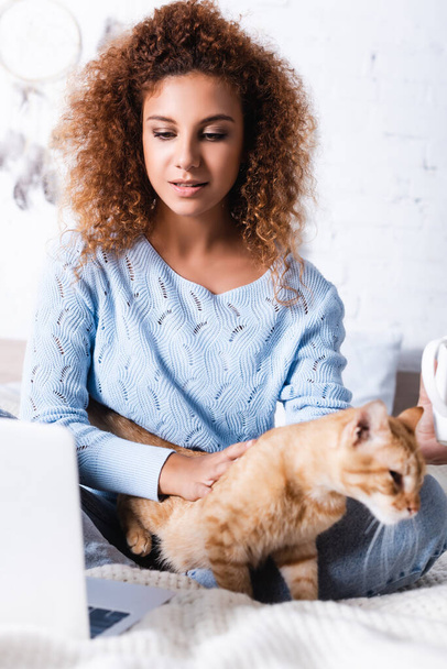 Selective focus of woman looking at laptop while petting cat on bed  - Fotoğraf, Görsel