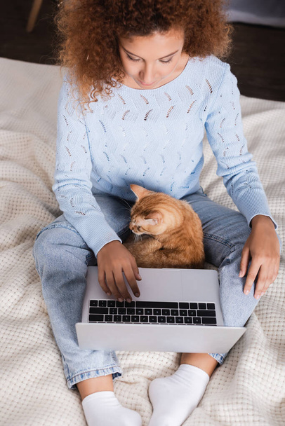 Young woman in sweater and jeans using laptop near tabby cat on bed  - Zdjęcie, obraz