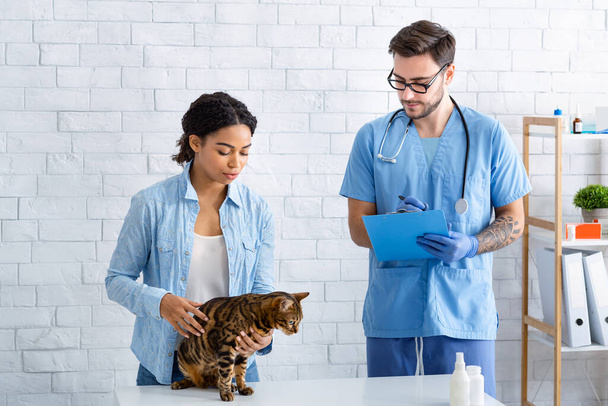 Negro chica con tabby gato en visita a veterinario médico en animal hospital - Foto, Imagen