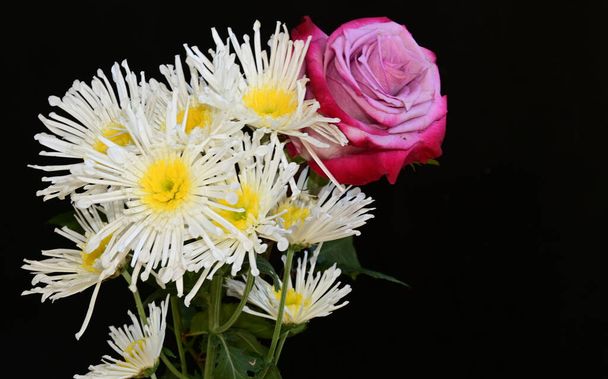 μπουκέτο με όμορφα λουλούδια σε σκούρο φόντο, καλοκαιρινό concept, κοντινή θέα   - Φωτογραφία, εικόνα
