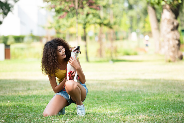 Enfoque selectivo de mujer joven sosteniendo gato russell terrier perro - Foto, Imagen