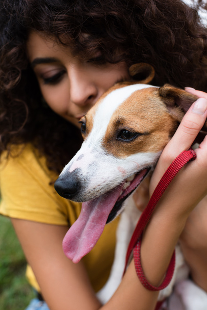 Close up view of young woman holding dog - Foto, Imagen