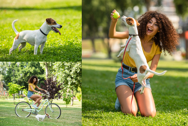 Collage of young woman riding on bike and playing tennis ball with dog - Photo, Image