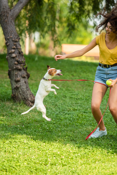 Selective focus of young woman and jack russell terrier dog playing in park - Photo, Image