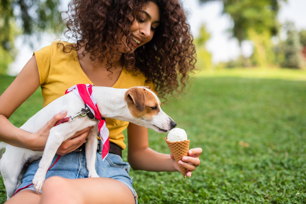 Selective focus of young woman feeding jack russell terrier dog ice cream - Foto, imagen