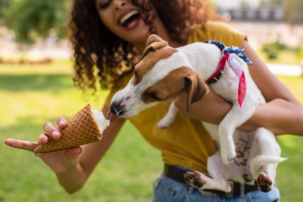 Selective focus of excited woman feeding jack russell terrier dog ice cream - Foto, imagen