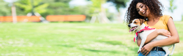 weboldal fejléc a nevetés, göndör nő gazdaság Jack Russell terrier kutya a parkban - Fotó, kép