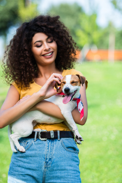 joyful, brunette woman in summer outfit stroking jack russell terrier dog in park - Фото, изображение