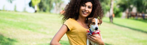 horizontal crop of joyful, curly woman looking at camera while holding jack russell terrier dog - Photo, Image