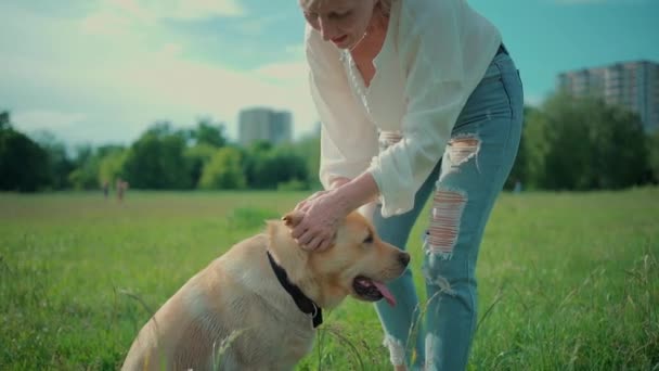 happy senior woman play with labrador retriever dog in sunny summer park - Záběry, video
