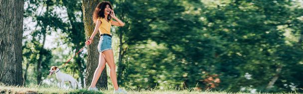website header of curly woman in summer outfit talking on mobile phone while walking with jack russell terrier dog in park - Photo, Image