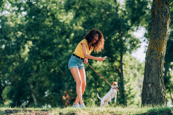 laughing woman in summer outfit taking photo of jack russell terrier dog while strolling in park - Фото, изображение