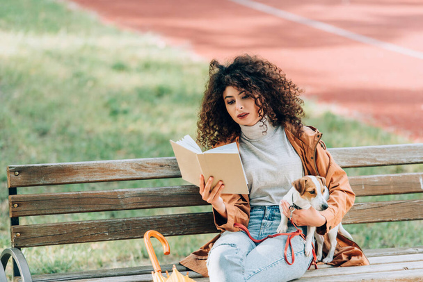femme élégante en automne tenue livre de lecture tout en étant assis sur le banc avec Jack Russell terrier chien - Photo, image