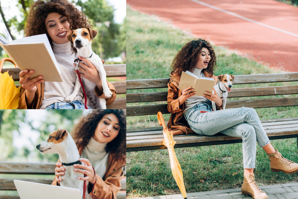 ジャック・ラッセルと公園のベンチに座っている間にラップトップと読書本を使ってスタイリッシュなフリーランスのコラージュテリア犬 - 写真・画像