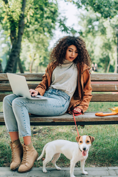 enfoque selectivo de freelancer elegante sentado en el banco con el ordenador portátil y Jack Russell terrier perro con correa - Foto, Imagen