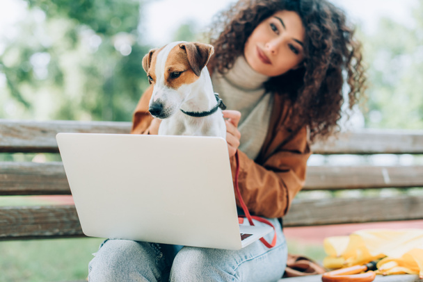 selective focus of curly freelancer holding jack russell terrier dog while sitting on bench with laptop - Φωτογραφία, εικόνα