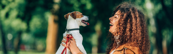 Πανοραμική κατεύθυνση της σγουρή γυναίκα κρατώντας Jack Russell Terrier στο πάρκο  - Φωτογραφία, εικόνα