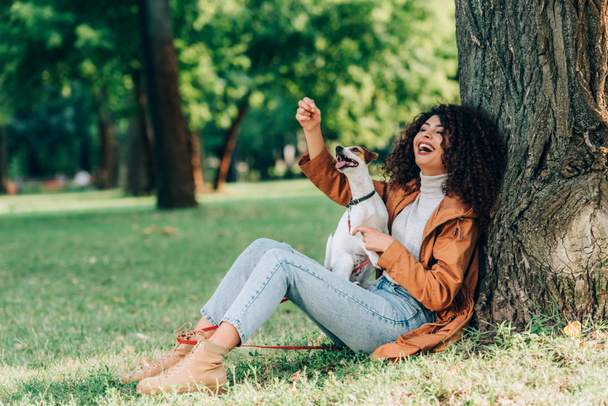 Selective focus of excited woman in raincoat playing with jack russell terrier on grass near tree in park  - Фото, изображение
