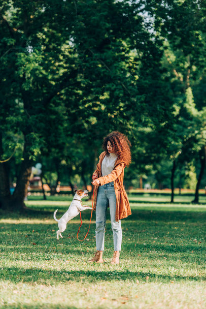 Enfoque selectivo de la joven mujer que juega con jack de salto russell terrier con correa en el parque  - Foto, Imagen